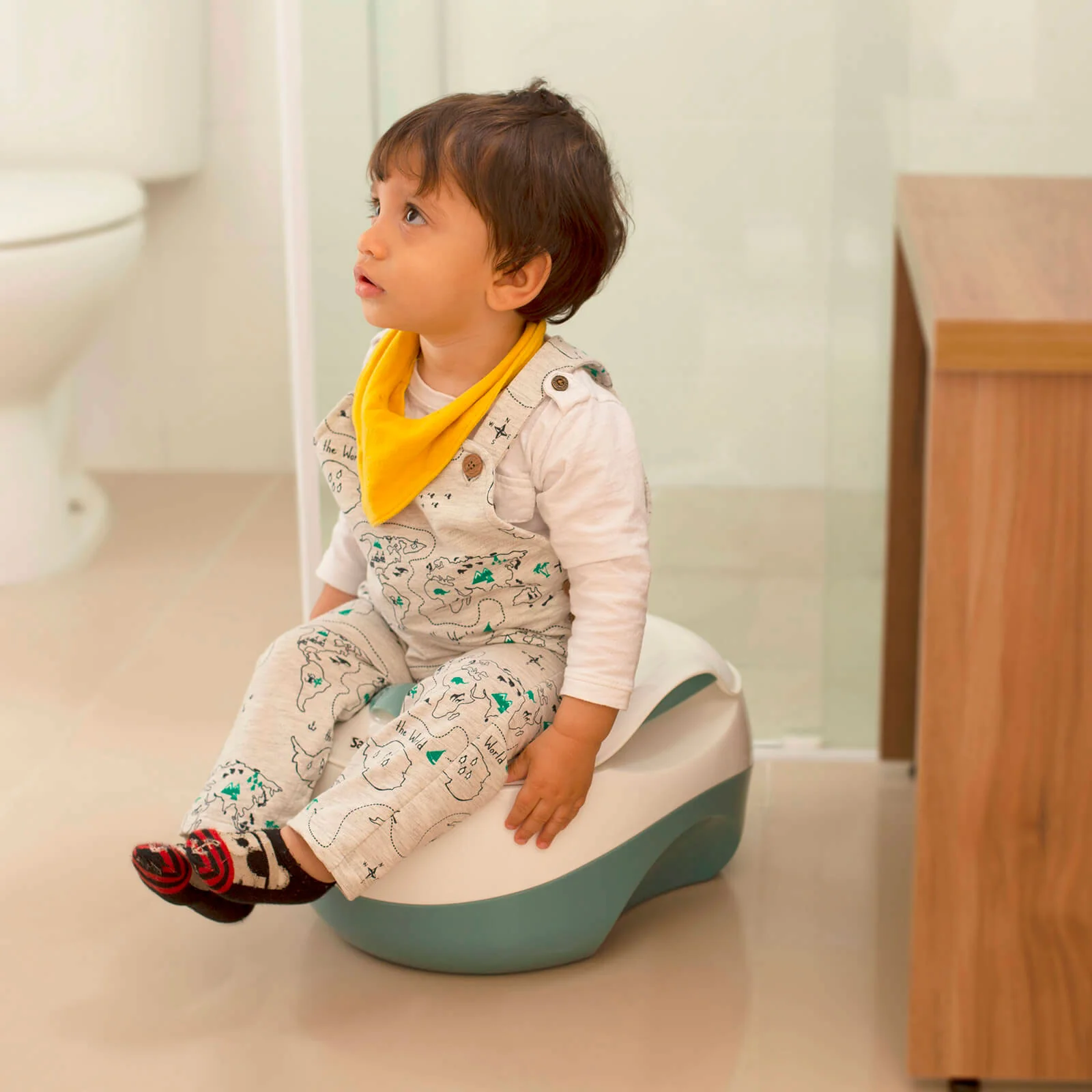 Troninho Flex Potty 3 in 1 - Image 11